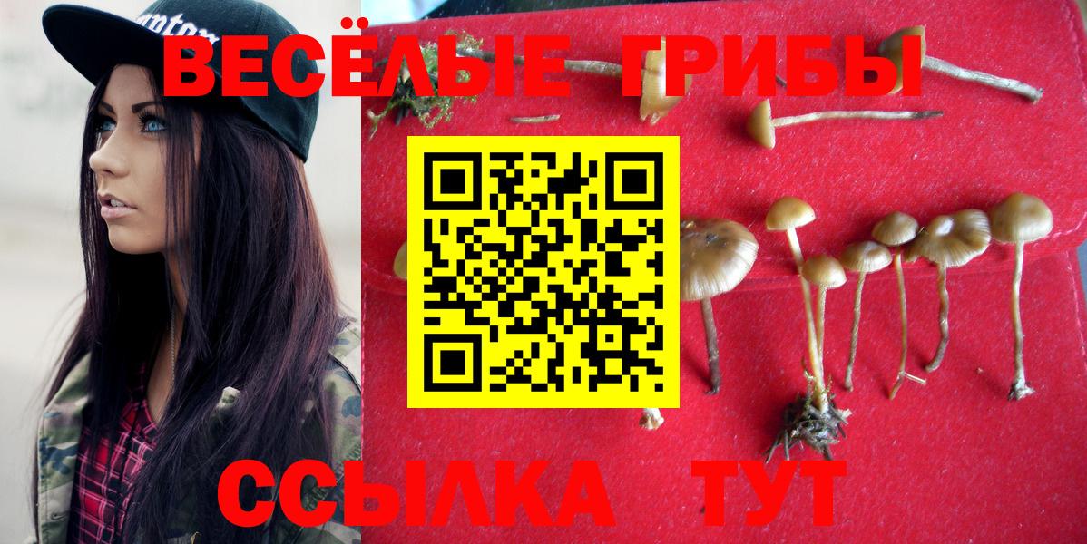 Псилоцибиновые грибы мухоморы  Вход с VPN  Хабаровск 